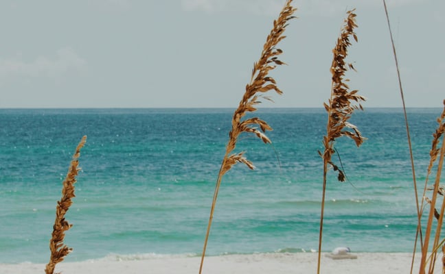 Sea oats on white sand with turquoise Gulf water at The Galvestonian, Galveston Island