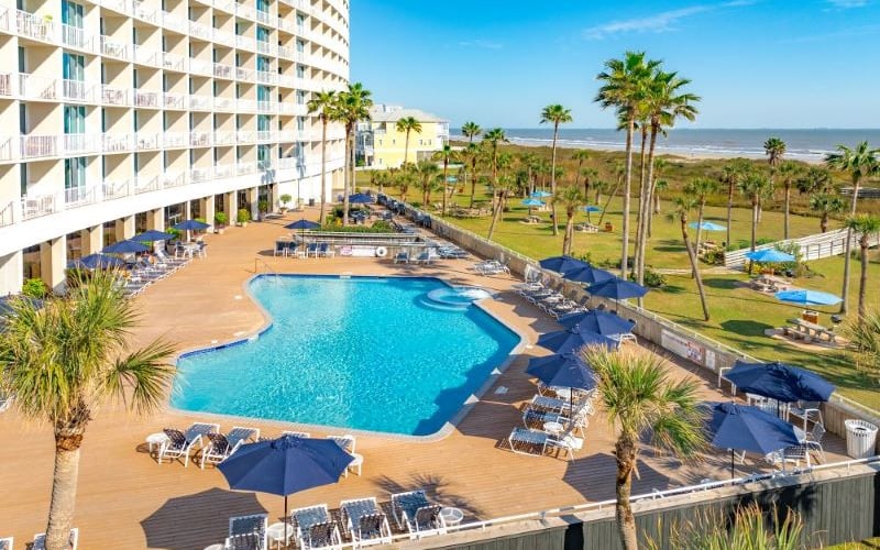 Outdoor pool and palm trees with Gulf view